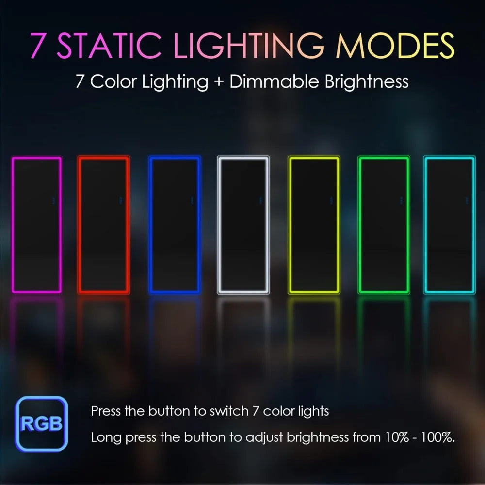 Full Length Floor Mirror with Lights